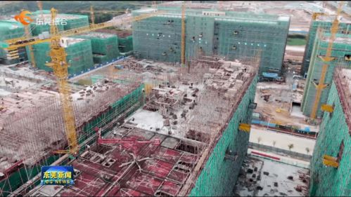 我市提前完成年度重大項目開工任務，累計新開工142個